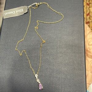 Eliot Danori necklace